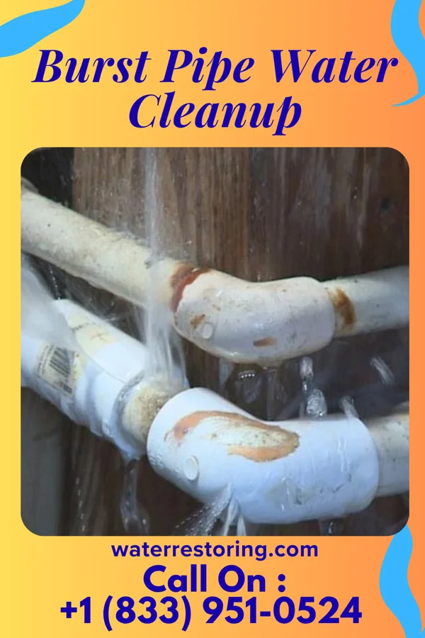 Burst Pipe Water Cleanup in Auburn, NY