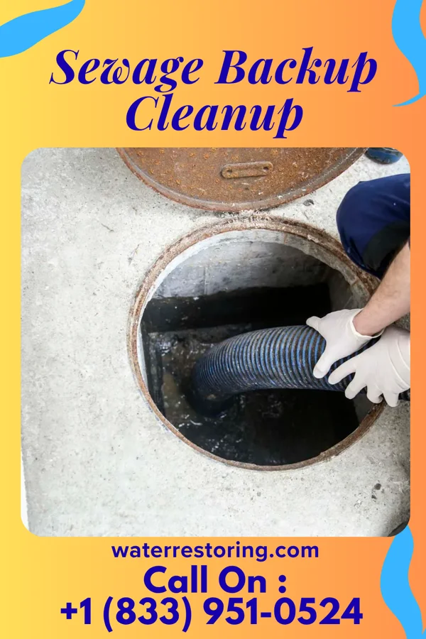 Sewage Backup Cleanup in Auburn, NY