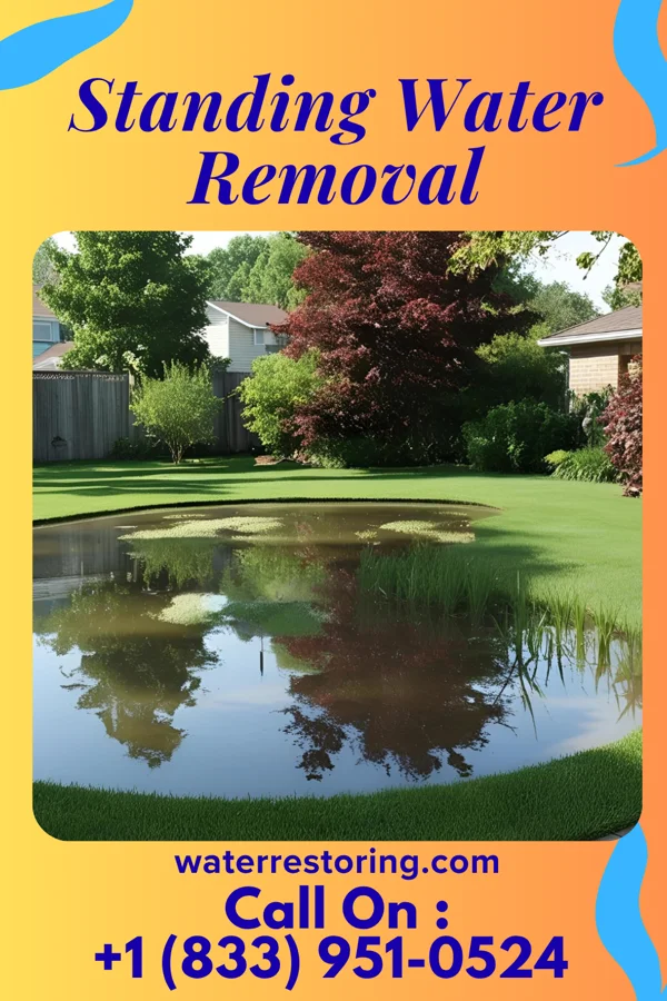 Standing Water Removal in Auburn, NY